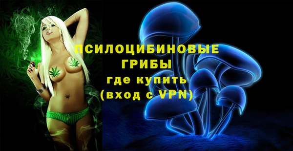 прущая мука Арсеньев
