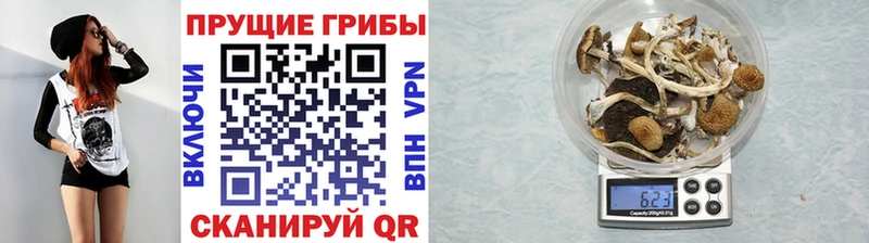 Галлюциногенные грибы Cubensis  Вязьма 